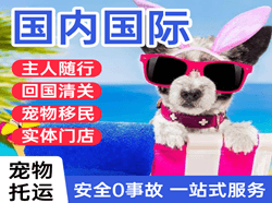 三家子航空运输国际宠物托运 【国